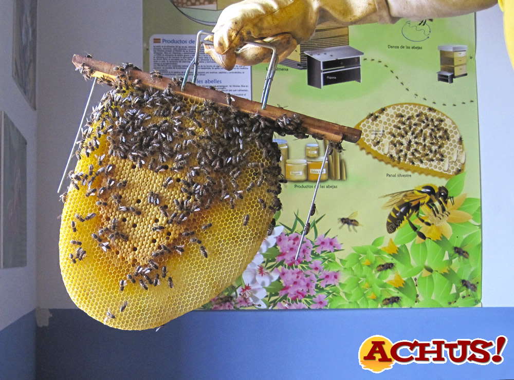 Terra Natura Benidorm lanza un proyecto para construir refugios de insectos con materiales reciclados