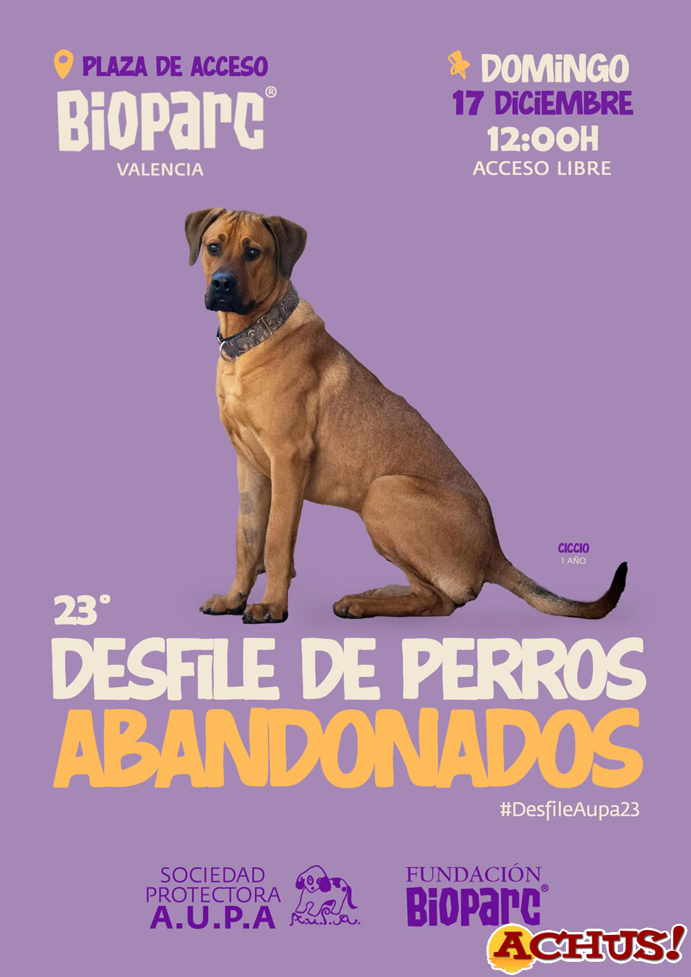 26 perros abandonados buscan un hogar para Navidad en el 23º Desfile de A.U.P.A. y Fundación Bioparc