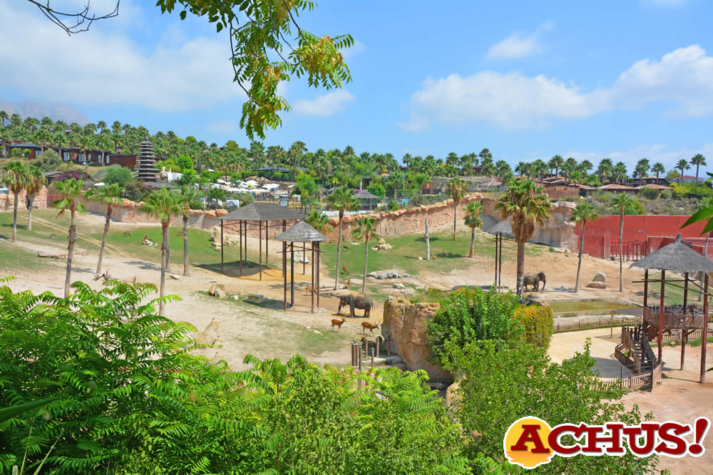Terra Natura Benidorm consigue la máxima puntuación en la auditoría medioambiental de TUI Group