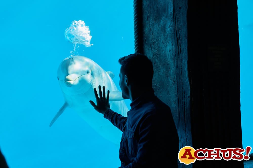 Mundomar abre sus puertas el próximo 23 de marzo