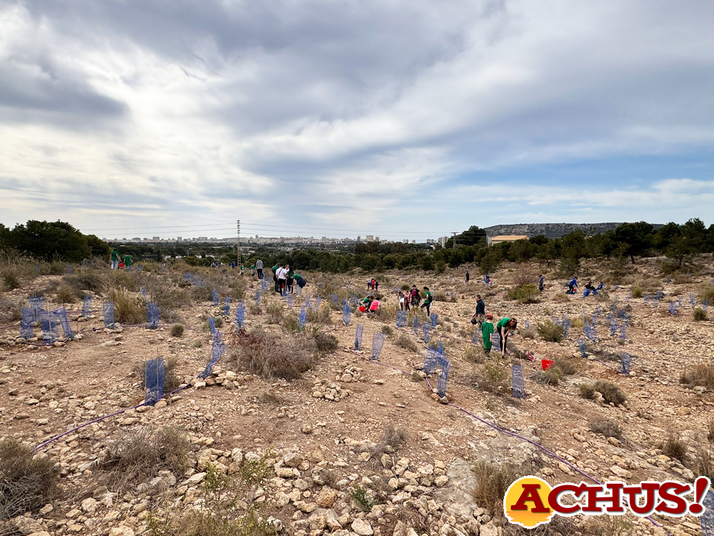 Más de 200 personas participan en la restauración ecológica de Orgegia impulsada por Terra Natura Benidorm y Alicante Renace.