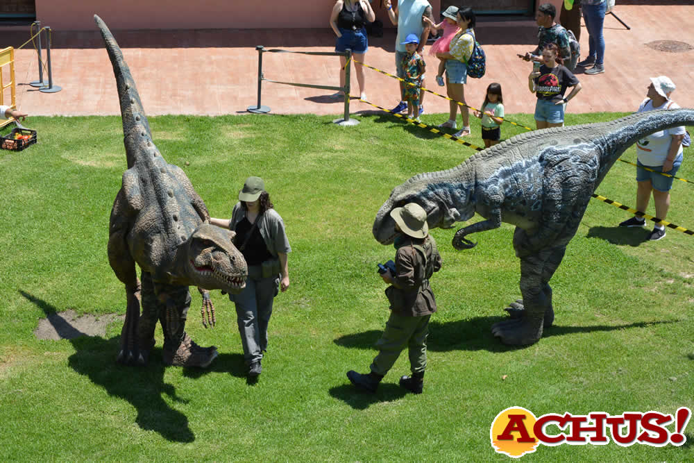 Terra Natura Benidorm recrea el periodo Jurásico con una experiencia protagonizada por dinosaurios.
