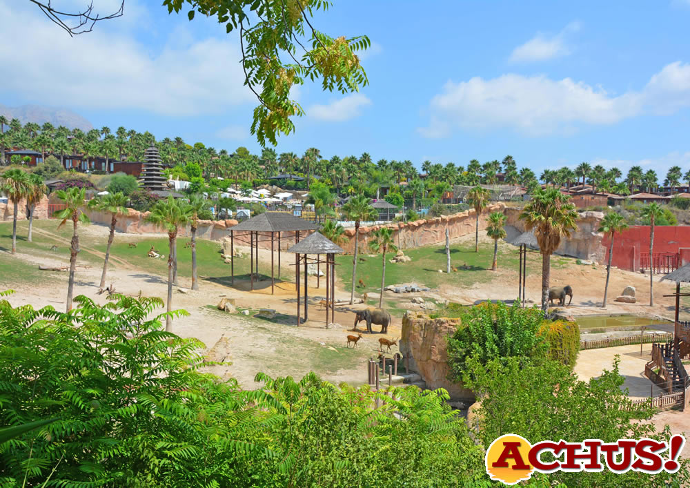 Terra Natura Benidorm lanza una oferta especial de ocio educativo para familias de las AMPAS