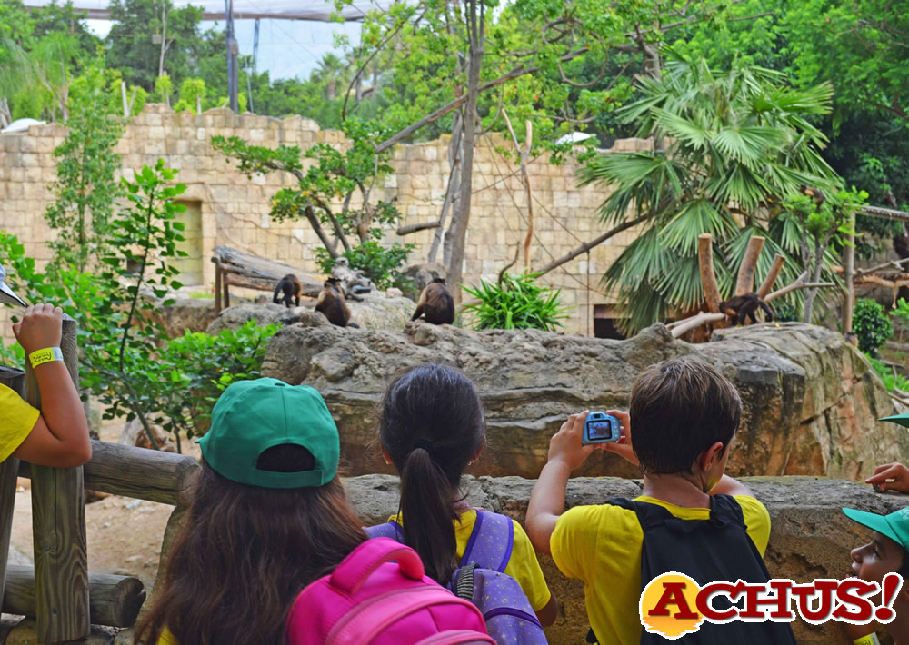 Terra Natura Benidorm lanza una nueva edición de su Escuela de Verano y un campus dirigido a adolescentes