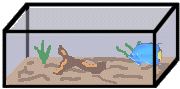 Gif-animado-Acuario-03.gif