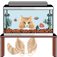 Gif-animado-Acuario-06.gif