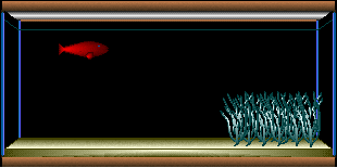 Gif-animado-Acuario-08.gif