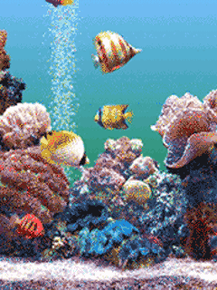 Gif-animado-Acuario-10.gif