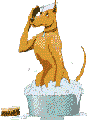 Gif-animado-Banera-07.gif