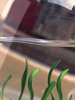 Gif-animado-Burbujas-11.gif
