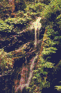 Gif-animado-Catarata-11.gif