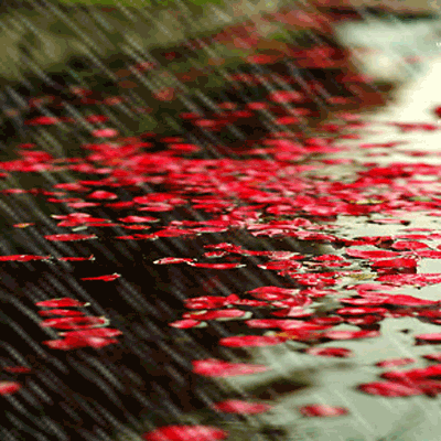 Gif-animado-Lluvia-34.gif