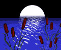 Gif-animado-Mar-03.gif