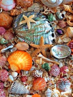 Gif-animado-Mar-18.gif