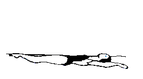 Natacion-04.gif