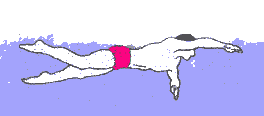 Natacion-12.gif