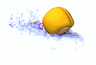 Natacion-13.gif