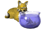 Gif-animado-Pecera-01.gif