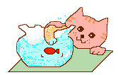 Gif-animado-Pecera-03.gif