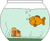 Gif-animado-Pecera-10.gif