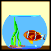 Gif-animado-Pecera-18.gif