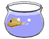 Pecera-05.gif
