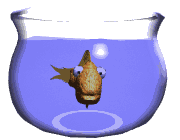 Pecera-41.gif