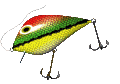 Pesca-deportiva-31.gif