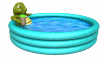 Piscina-11.gif