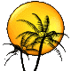 Gif-animado-Playa-07.gif