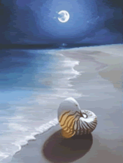 Gif-animado-Playa-21.gif