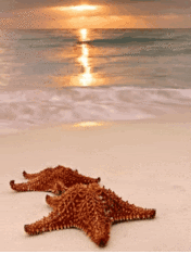 Gif-animado-Playa-25.gif