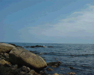 Gif-animado-Playa-30.gif