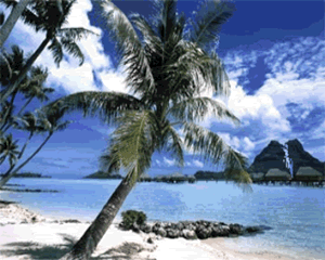 Gif-animado-Playa-32.gif