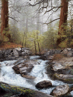 Rios-y-lagos-07.gif