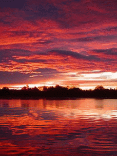 Rios-y-lagos-12.gif