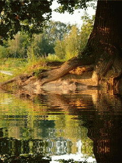 Rios-y-lagos-16.gif