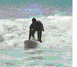 Surf-35.gif