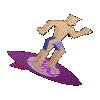 Surf-36.gif