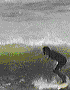 Surf-37.gif