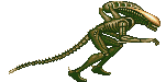 Imagen-animada-Alien-02.gif
