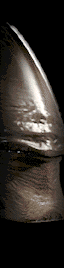Imagen-animada-Alien-09.gif