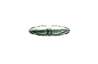 Imagen-animada-Platillo-volante-50.gif
