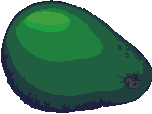 Aguacate-02.gif