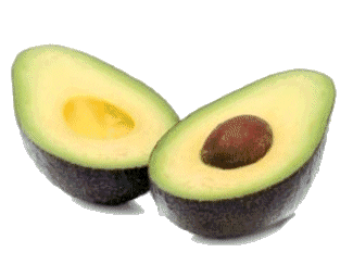 Aguacate-04.gif