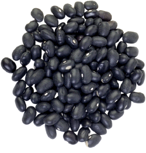 Alubias-05.gif