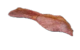 Bacon-04.gif