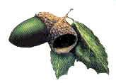 Bellota-01.gif