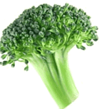 Brocoli-05.gif