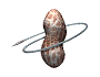 Cacahuete-05.gif